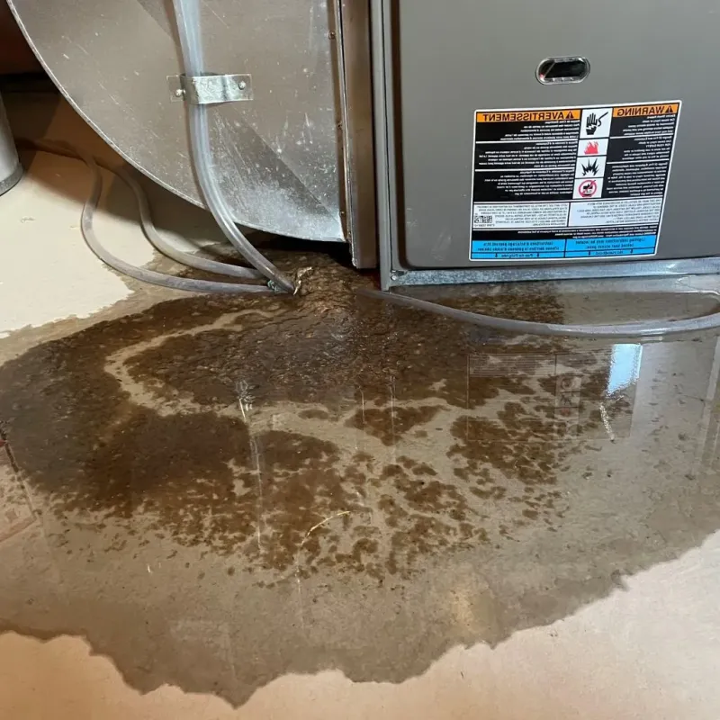 Pipe Burst and Leak Restoration in Warren, RI