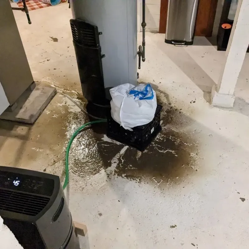 Sewage Backup Cleanup Service in Warren, RI